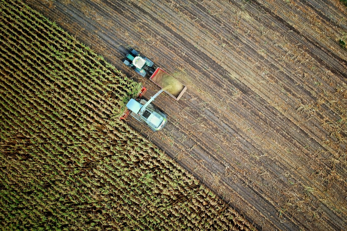 荷冬田与南宁连锁商超达成产地直供合作
